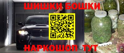 прущие грибы Новодвинск