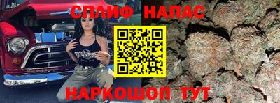 прущие грибы Новодвинск