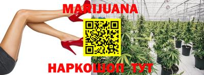 прущие грибы Новодвинск