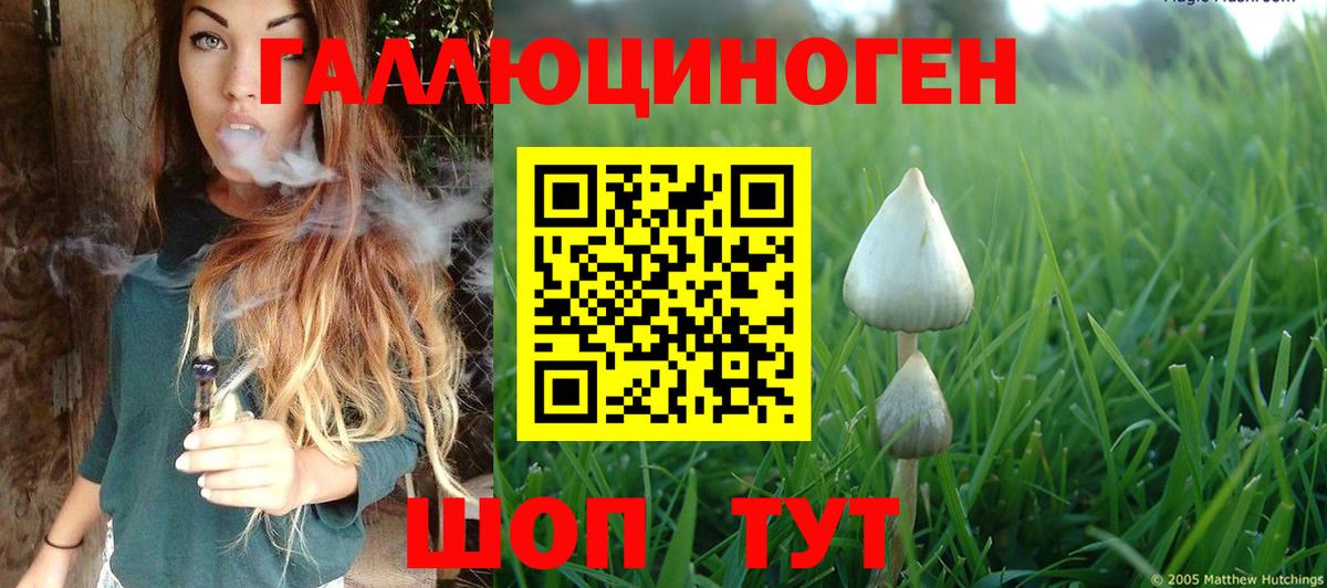 Псилоцибиновые грибы ЛСД Тихорецк