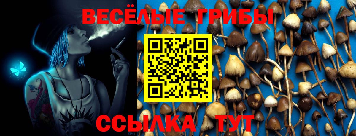 Тихорецк  Псилоцибиновые грибы мухоморы  Псилоцибиновые грибы GOLDEN TEACHER  Вход с VPN 
